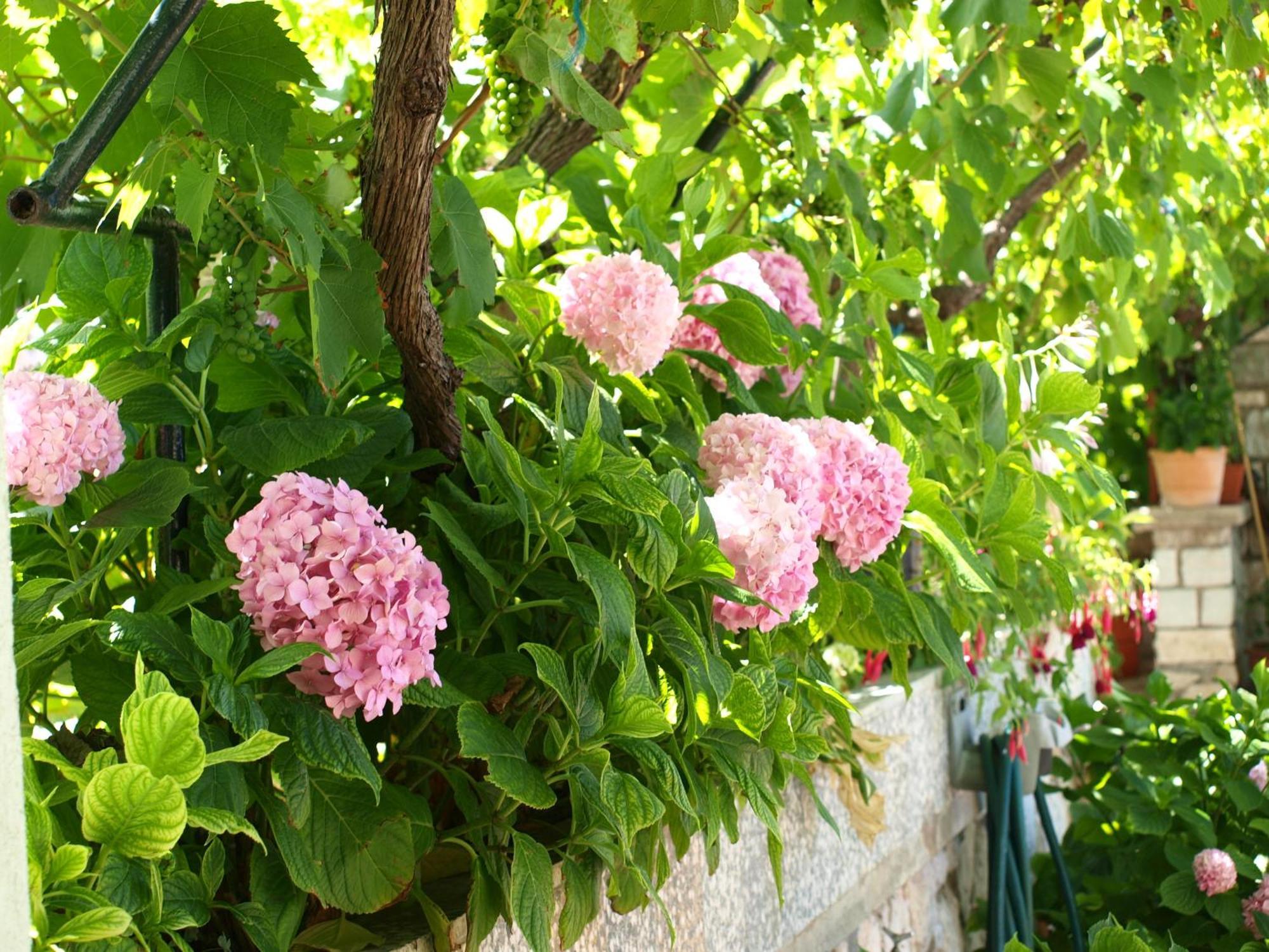 Alaburic Rooms & Apartment Mali Lošinj Exterior foto